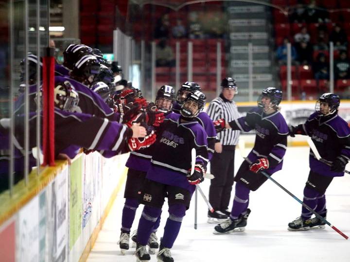 Hockey Fest 2025 in Owen Sound on Nov. 13