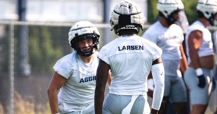 Ike Larsen wasn't exactly Ike Larsen last season. Will show-stopping safety return to his old ways in 2025?
