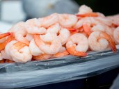 Please let me eat the radioactive shrimp from Walmart