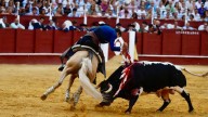 Corrida de rejones en la Malagueta