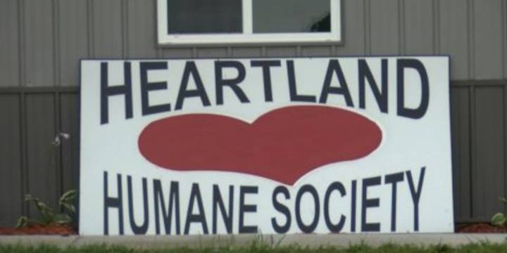 Ottumwa’s Humane Society struggles to keep up with cost