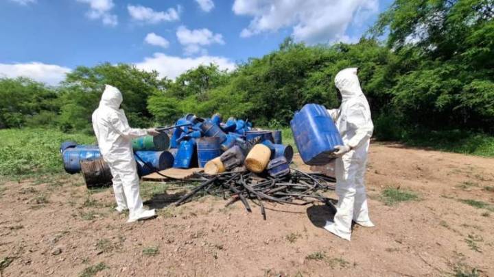 Aseguran y destruyen más de 75 mil litros de droga en Culiacán y Cosalá
