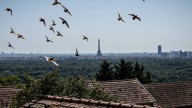 European markets open to close: Fed-Trump, French politics