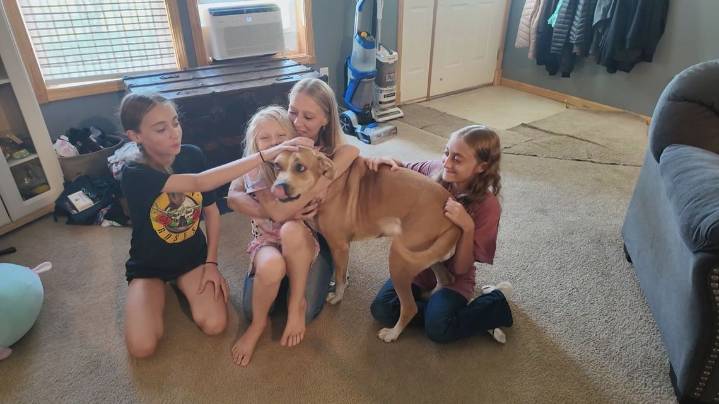 Newaygo County teen Addie Miller enters new school year with kidney transplant hopes