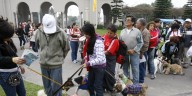 Gran campaña veterinaria gratuita para este 23 y 24 de agosto: dónde y cómo acceder