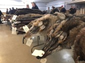 For trappers, the land is their office — wildfires have them bracing for the worst