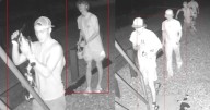 TWRA investigating vandalism at Reelfoot Lake in Lake and Obion counties