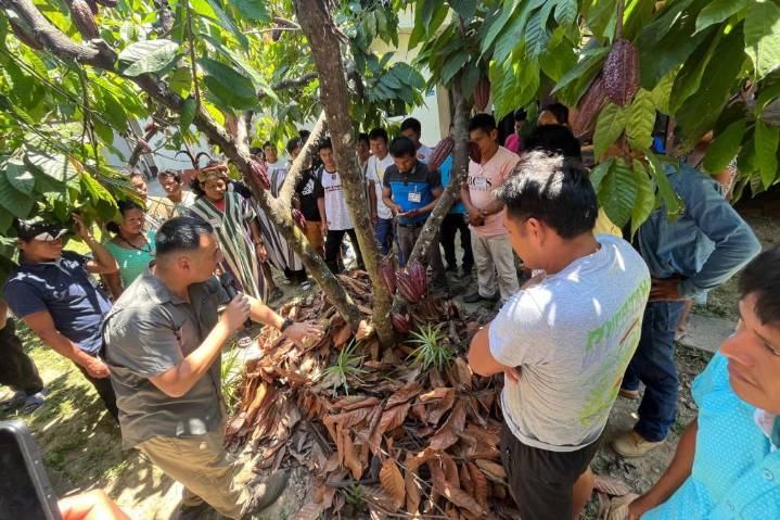 16 comunidades nativas de Atalaya, Ucayali, fortalecen vigilancia de sus bosques