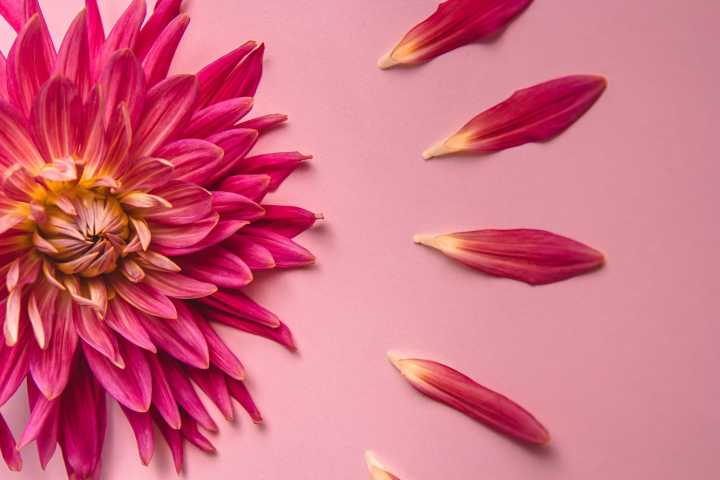Dove’s New “TMI” Line of Menopause Products