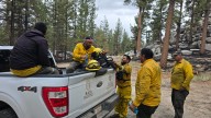 Liquidados incendios forestales de San Pedro Mártir y Sierra de Juárez