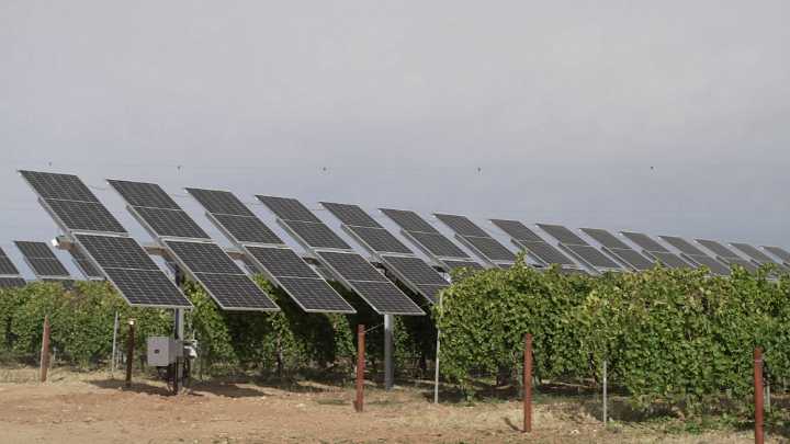 Iberdrola lanza un parque agrovoltaico de manzanos en Álava
