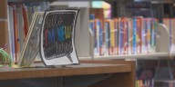 Livingston Parish Library Board votes to keep degree requirement in place for next director, selects interim