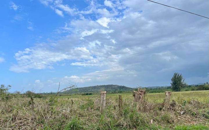 Hoy será un día lluvioso y caluroso – NotiCel 
