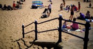 Brits heading to the beach warned of poisonous creature hiding under the sand