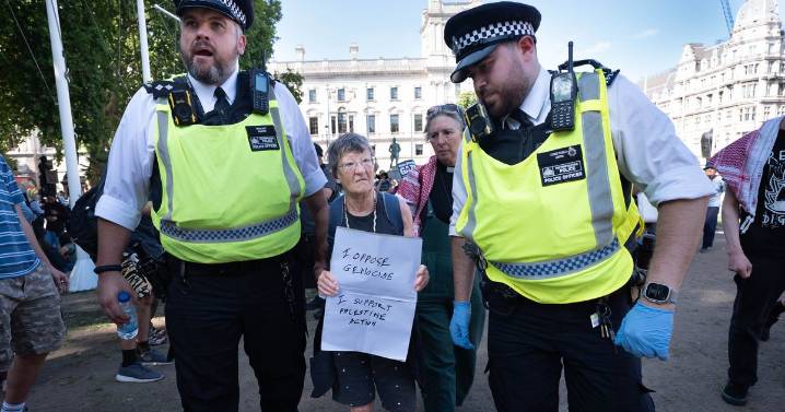 Met confirm over 400 arrests made over Palestine Action support at protest
