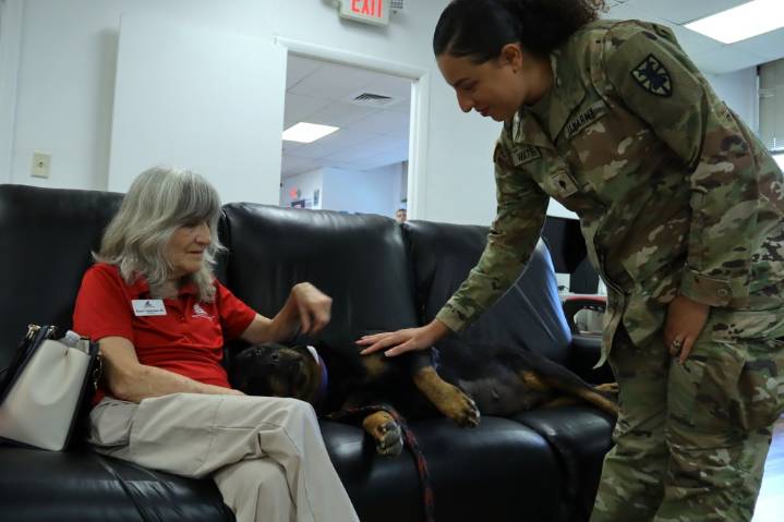 Meet Leader, the USO’s 2024 Canine Volunteer of the Year