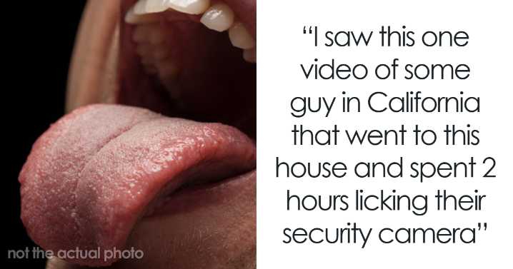 “Spent 2 Hours Licking [A] Security Camera”: 80 Wildest Scenes People Peeked Through Home Cams