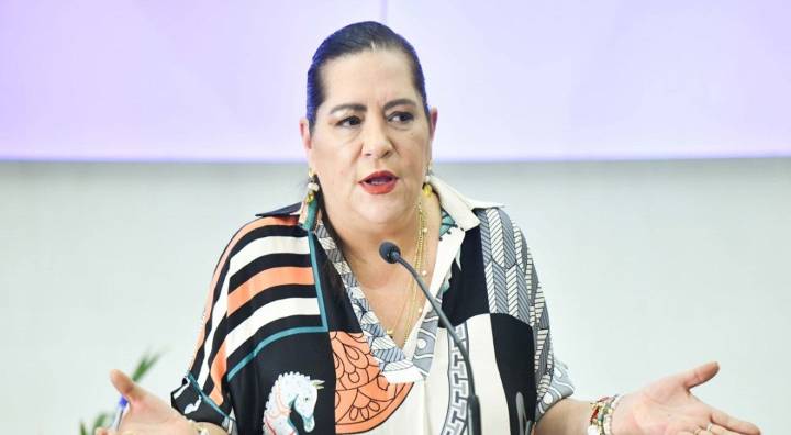 Taddei buscará a Pablo Gómez para dialogar sobre reforma electoral