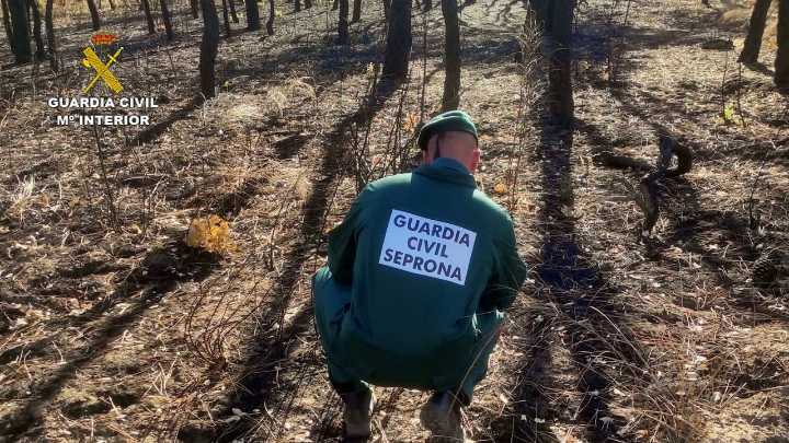 Investigado un varón de 69 años por su presunta implicación en un incendio en el paraje Foncabada de Villamol (León)