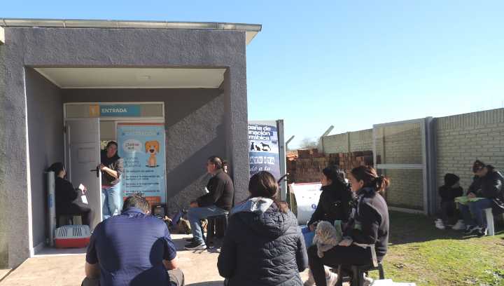 Concurrida jornada de castración y vacunación de perros y gatos en Riestra