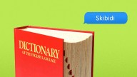 "Skibidi": How to use the newest words added to the Cambridge Dictionary