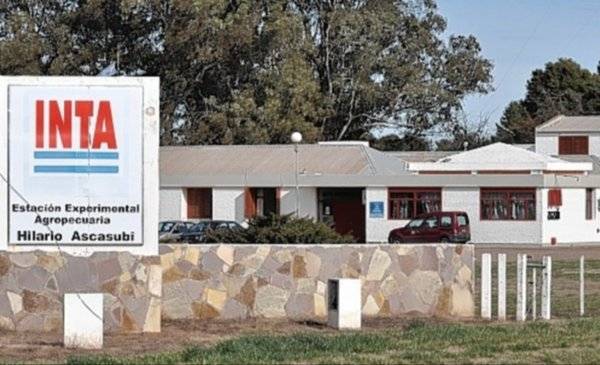 Golpe judicial al Gobierno: deberá dar marcha atrás con los 300 pases a disponibilidad en el INTA
