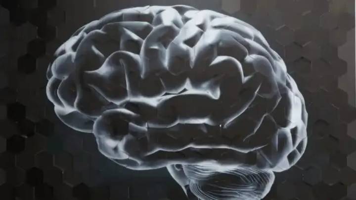Un neurólogo señala el alimento al que debes prestar atención para no dañar tu cerebro: puede causar parálisis o visión borrosa