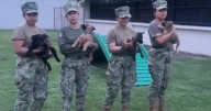 ¡Generación FIFA! Una camada de cachorritos apoyará en la seguridad del Aeropuerto en CDMX durante el Mundial 2026
