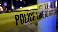No evidence of shooter at University of South Carolina campus library despite alert, spokesperson says