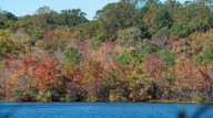 Where Southern Living says to go for a weekend getaway in Alabama