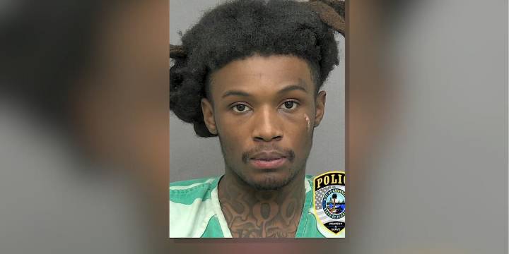 Gainesville hit-and-run driver sentenced to 15 years in prison