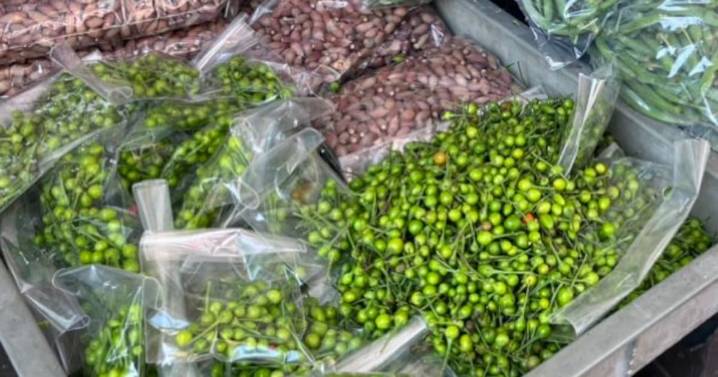 Chiltepín verde, el favorito de temporada: comerciantes del centro de Hermosillo reportan auge en ventas de productos regionales