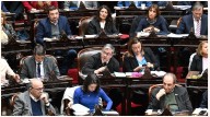 La oposición logró rechazar el veto de Milei a la ley de emergencia en discapacidad en Diputados