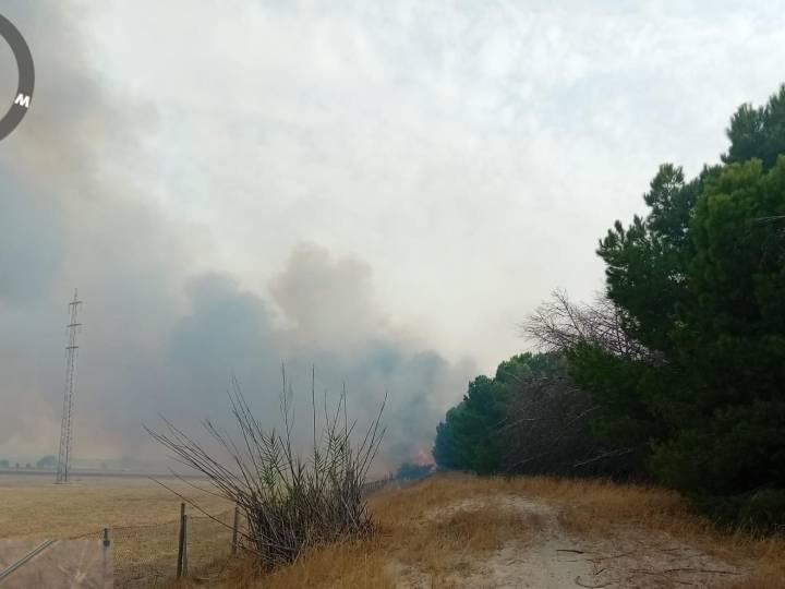 Un nuevo incendio forestal afecta al paraje Matalagrana de Almonte cerca de Doñana