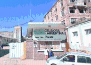 Celulosa Argentina reportó una caída de ingresos de 44% y está en «quiebra técnica»
