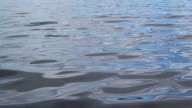 Asheville fire officials attempting a water rescue