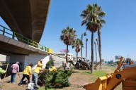 Refuerza Javier Díaz acciones de reforestación en la ciudad