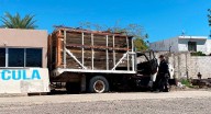 Se incendia camión abandonado en la Central de Abastos de Hermosillo