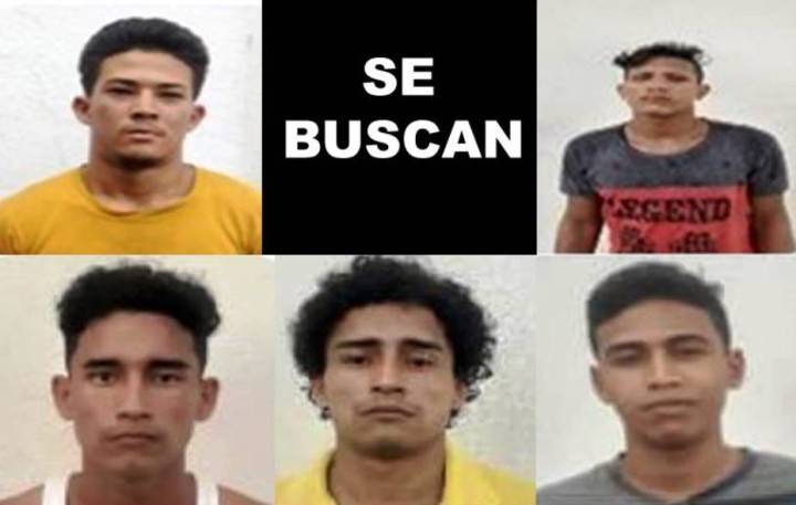 A prueba el sagaz London con nueva fuga en Guasina