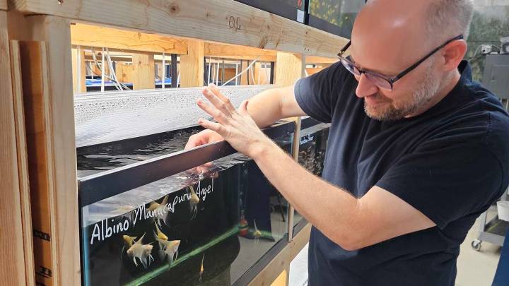 Sheridan Man Creates Tropical Fish Oasis In Landlocked Wyoming