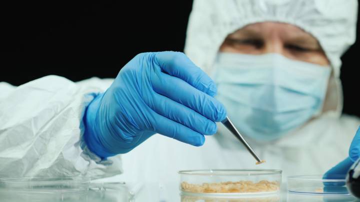 Confirma el primer caso en humanos de gusano “come carne” en USA
