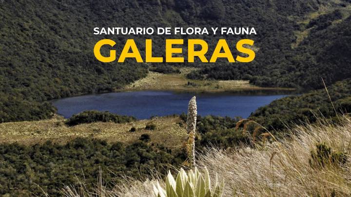 Santuario de Flora y Fauna Galeras
