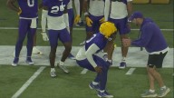 LSU safety, highly-touted transfer A.J. Haulcy suspended by NCAA for first half of Clemson game