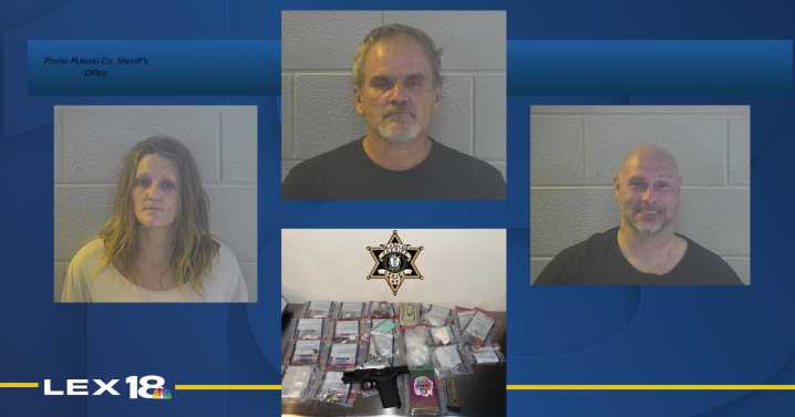 3 arrested on drug-related charges after execution of search warrant at Pulaski County home