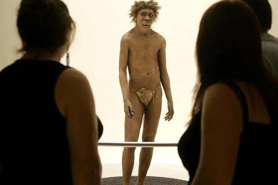 El hallazgo que reescribe la historia: encontraron el primer hijo de un neandertal y un humano moderno