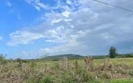 Hoy será un día lluvioso y caluroso – NotiCel 