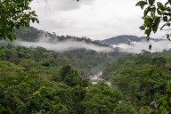 Perú se une a una nueva red regional para impulsar el mercado de carbono