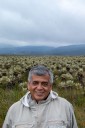 Proyecto de ley ambiental 