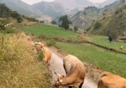 El calor da una tregua en Asturias, aunque en el Suroccidente se superarán los 30 grados