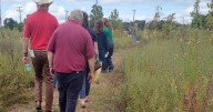 Waynesboro celebrates riverfront transformation at South River Preserve